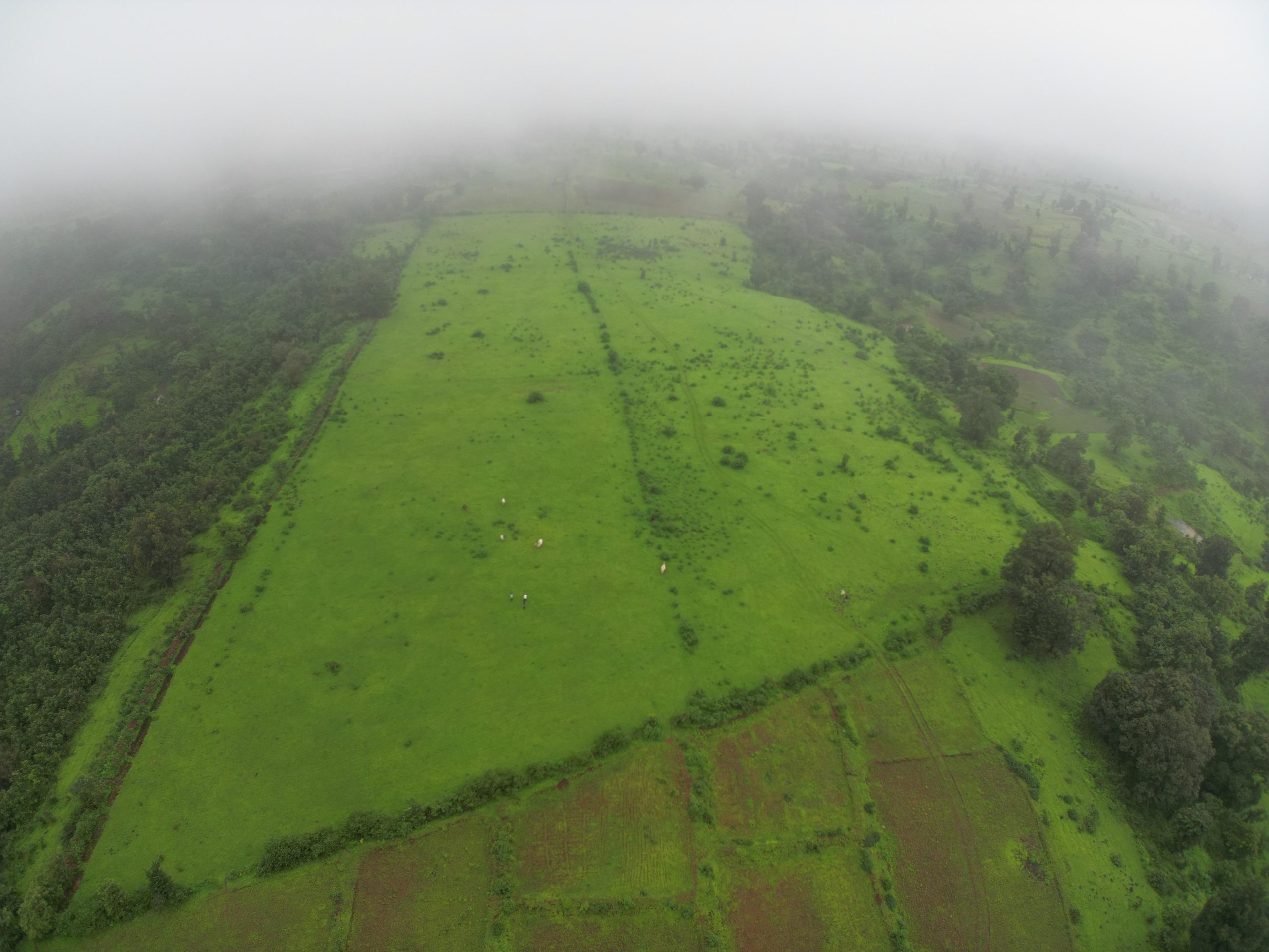 Subhadra-Pastures-Phase-2 Subhadra-Pastures-Phase-2